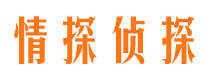 湖南市调查公司